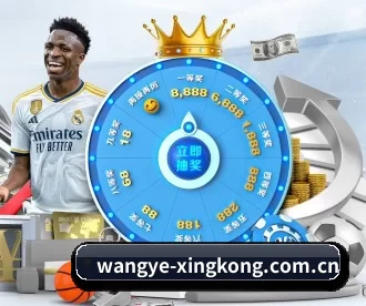 wangye-xingkong.com.cn APP 深度功能